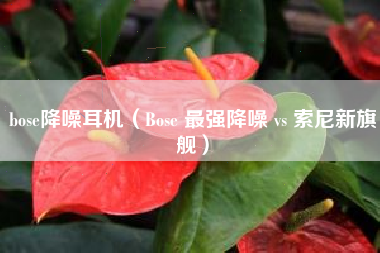 bose降噪耳机（Bose 最强降噪 vs 索尼新旗舰）