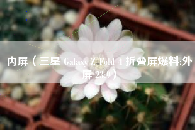 内屏（三星 Galaxy Z Fold 4 折叠屏爆料:外屏 23:9）