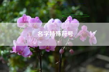 名字特殊符号