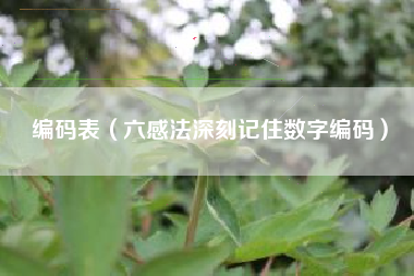 编码表（六感法深刻记住数字编码）