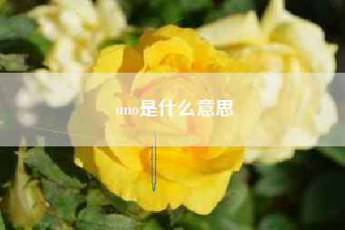 uno是什么意思