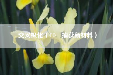 交叉极化（CO₂捕获新材料）