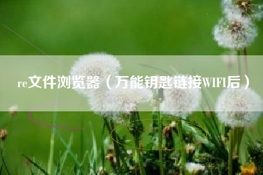 re文件浏览器（万能钥匙链接WIFI后）