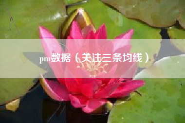 pm数据（关注三条均线）