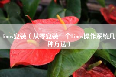 linux安装（从零安装一个Linux操作系统几种方法）