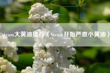 steam大黄油推荐（Steam开始严查小黄油）