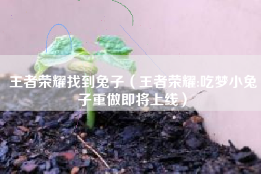 王者荣耀找到兔子（王者荣耀:吃梦小兔子重做即将上线）