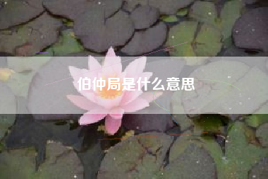 伯仲局是什么意思