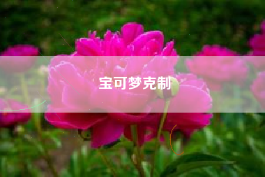 宝可梦克制