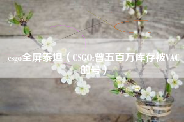 csgo全屏泰坦（CSGO:曾五百万库存被VAC的号）