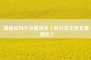 塔克拉玛干沙漠洪水（别只关注西北暖湿化）