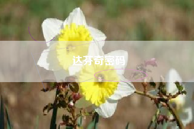 达芬奇密码