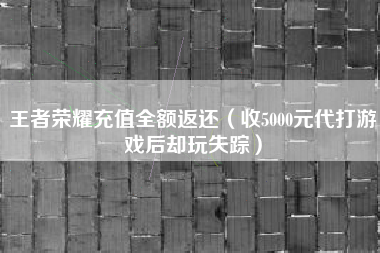 王者荣耀充值全额返还（收5000元代打游戏后却玩失踪）