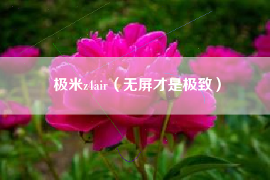 极米z4air（无屏才是极致）