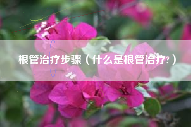 根管治疗步骤（什么是根管治疗?）