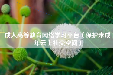 成人高等教育网络学习平台（保护未成年云上社交空间）