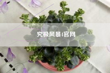 究极风暴4官网