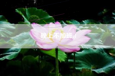 晚上不加班gl