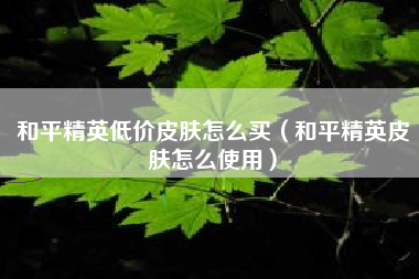 和平精英低价皮肤怎么买（和平精英皮肤怎么使用）