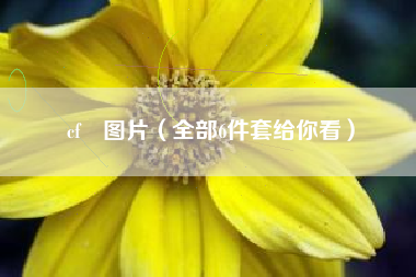 cf汚图片（全部6件套给你看）