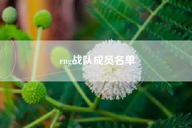 rng战队成员名单