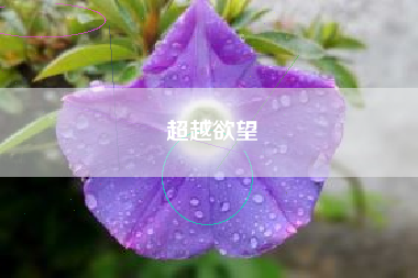 超越欲望