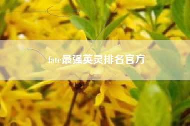 fate最强英灵排名官方