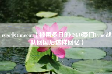 csgo卡timeout（被困多日的CSGO豪门Tyloo战队回国后这样回忆）