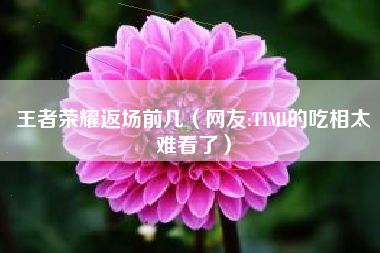 王者荣耀返场前几（网友:TIMI的吃相太难看了）