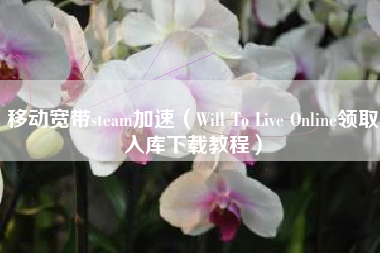 移动宽带steam加速（Will To Live Online领取入库下载教程）