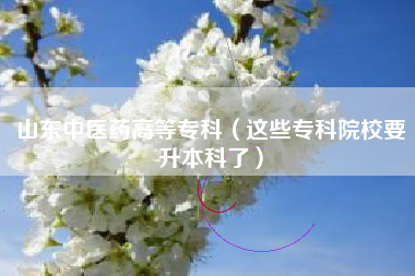 山东中医药高等专科（这些专科院校要升本科了）