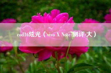 cod16炫光（vivo X Note 测评:大）