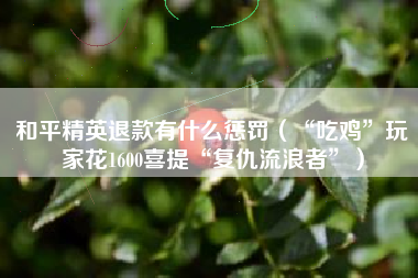 和平精英退款有什么惩罚（“吃鸡”玩家花1600喜提“复仇流浪者”）