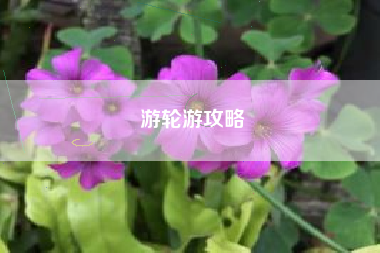 游轮游攻略