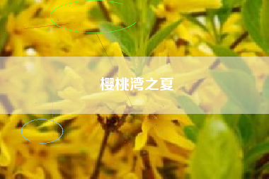 樱桃湾之夏