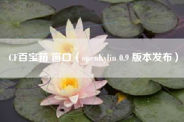 CF百宝箱 窗口（openKylin 0.9 版本发布）