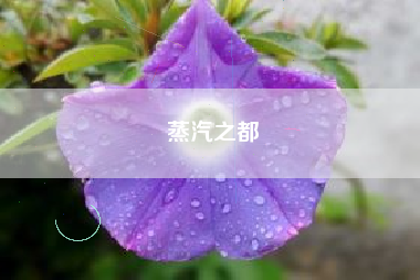 蒸汽之都