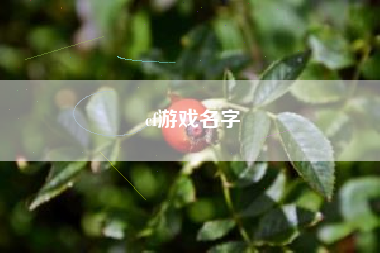 cf游戏名字