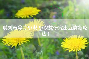 鹌鹑寿命（小说:小农女研究出豆腐新吃法）