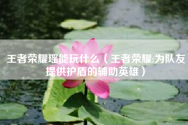 王者荣耀瑶能玩什么（王者荣耀:为队友提供护盾的辅助英雄）