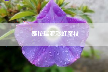 泰拉瑞亚彩虹魔杖