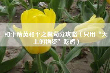 和平精英和平之翼苟分攻略（只用“天上的物资”吃鸡）