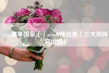 csgo赛事国家（「minor预选赛」三大洲阵容出炉）