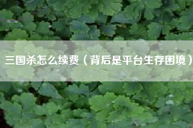 三国杀怎么续费（背后是平台生存困境）