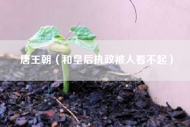 唐王朝（和皇后执政被人看不起）