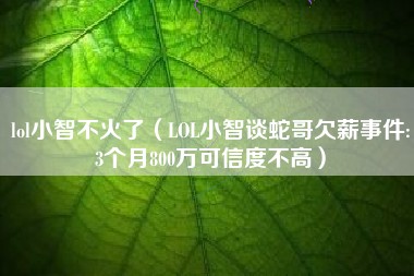 lol小智不火了（LOL小智谈蛇哥欠薪事件:3个月800万可信度不高）