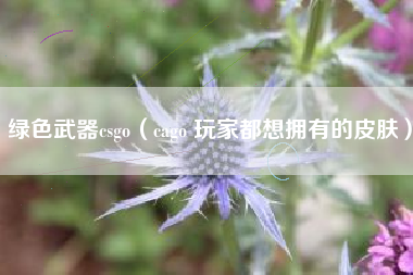 绿色武器csgo（cago 玩家都想拥有的皮肤）