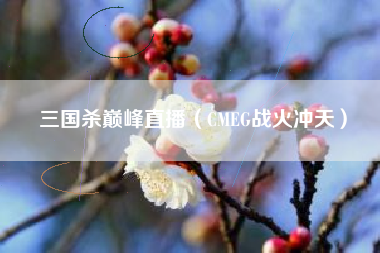 三国杀巅峰直播（CMEG战火冲天）