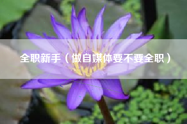 全职新手（做自媒体要不要全职）