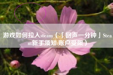 游戏如何拉入steam（「回声一分钟」Steam新手须知:账户受限）